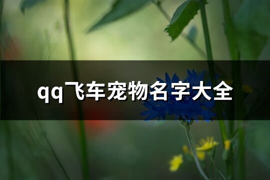 qq飛車寵物名字大全(優(yōu)選336個(gè))