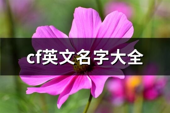 cf英文名字大全(共114個)