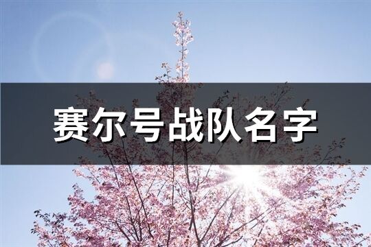 賽爾號戰隊名字(精選76個)