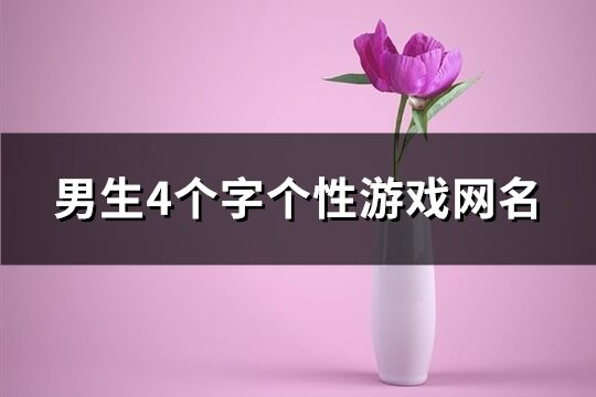 男生4個字個性游戲網名(精選566個)