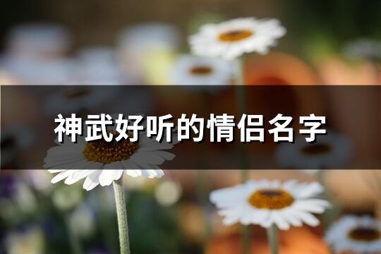神武好聽的情侶名字(共94個)