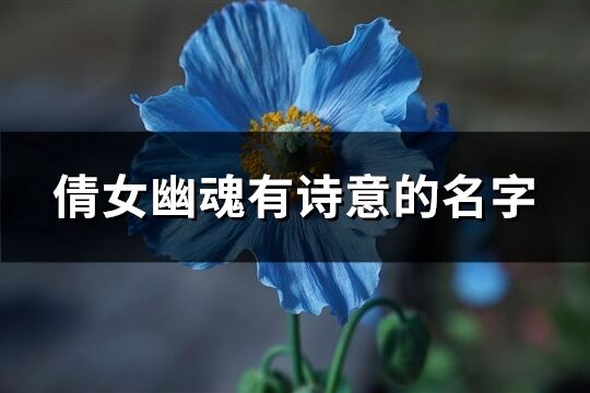 倩女幽魂有詩意的名字(優選333個)