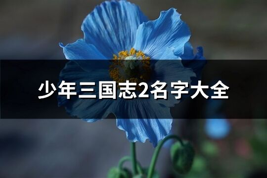 少年三國志2名字大全(精選304個)