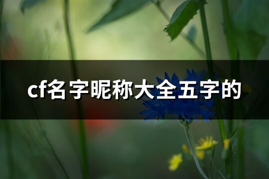 cf名字昵稱大全五字的(共543個(gè))
