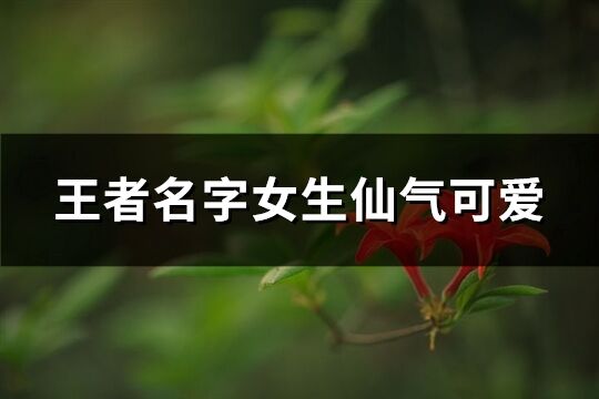 王者名字女生仙氣可愛(共269個)