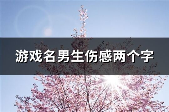 游戲名男生傷感兩個字(優選295個)