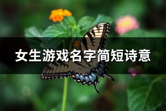 女生游戲名字簡短詩意(精選575個)