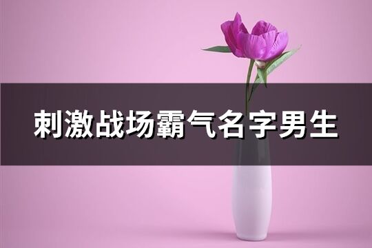 刺激戰場霸氣名字男生(448個)