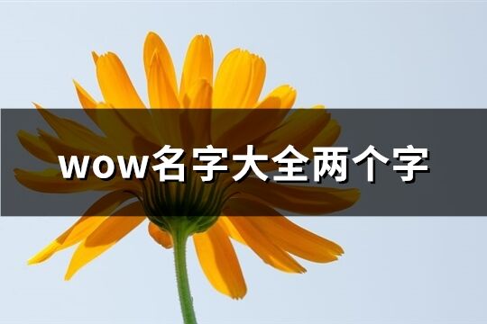 wow名字大全兩個(gè)字(精選862個(gè))