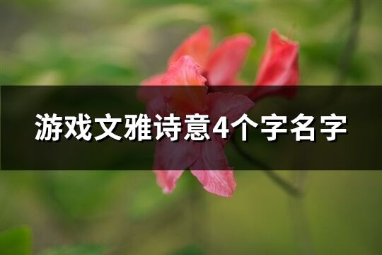 游戲文雅詩意4個字名字(983個)