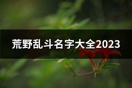 荒野亂斗名字大全2023(303個)