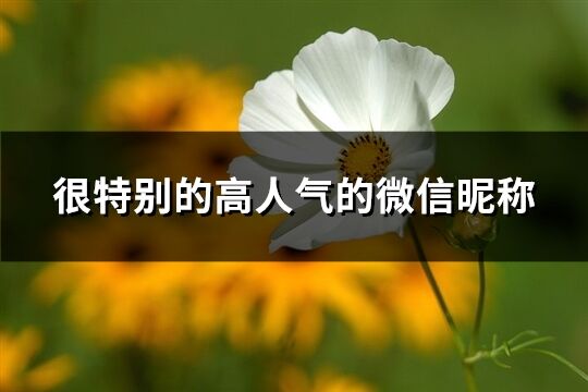 很特別的高人氣的微信昵稱(優(yōu)選304個)