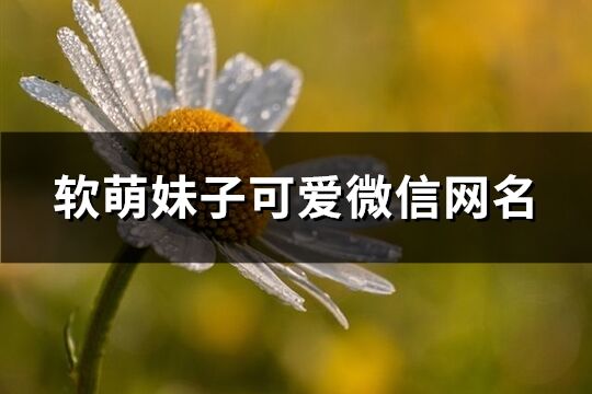 軟萌妹子可愛(ài)微信網(wǎng)名(323個(gè))