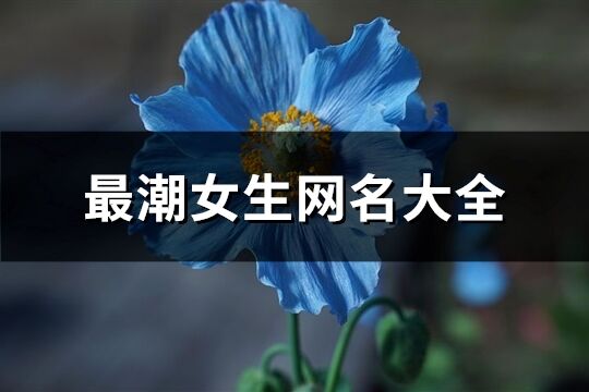 最潮女生網(wǎng)名大全(共458個(gè))