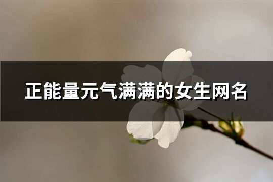 正能量元氣滿滿的女生網名(161個)