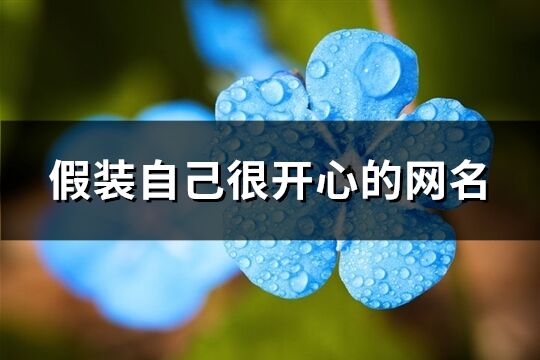 假裝自己很開心的網名(158個)
