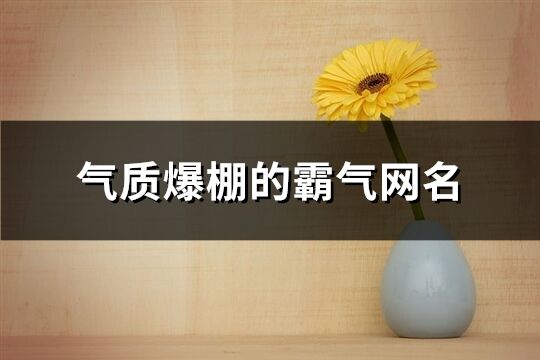 氣質爆棚的霸氣網名(432個)