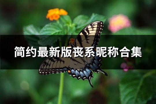簡約最新版喪系昵稱合集(共358個)