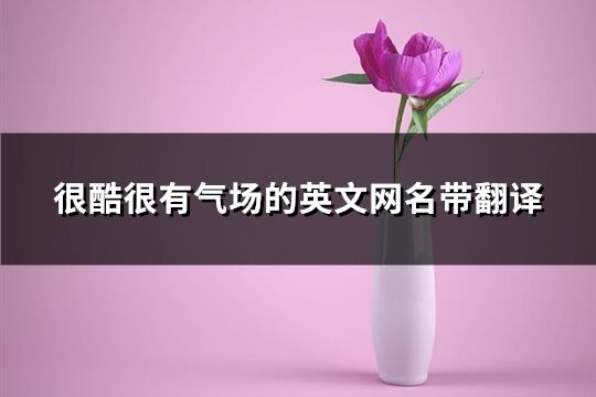很酷很有氣場的英文網名帶翻譯(精選64個)