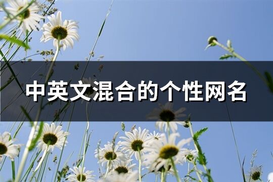 中英文混合的個性網名(166個)
