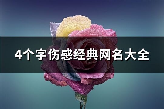 4個字傷感經(jīng)典網(wǎng)名大全(264個)