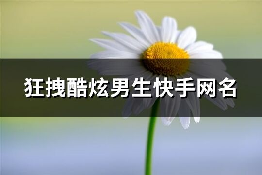 狂拽酷炫男生快手網名(265個)