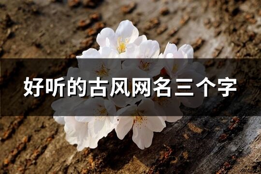 好聽的古風(fēng)網(wǎng)名三個(gè)字(共394個(gè))
