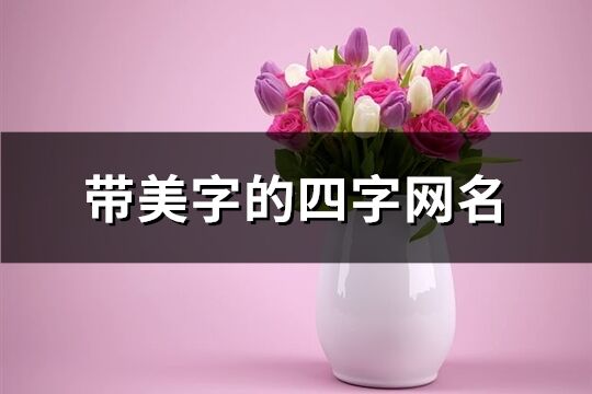 帶美字的四字網名(精選135個)