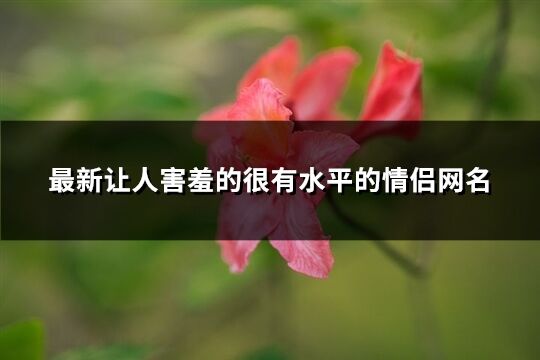 最新讓人害羞的很有水平的情侶網名(188個)