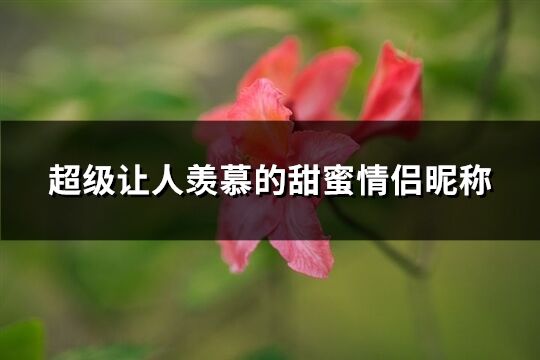 超級讓人羨慕的甜蜜情侶昵稱(共459個)
