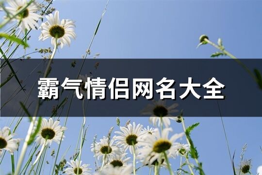 霸氣情侶網名大全(321個)