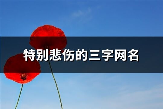 特別悲傷的三字網名(935個)