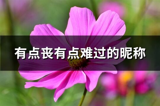 有點喪有點難過的昵稱(共437個)