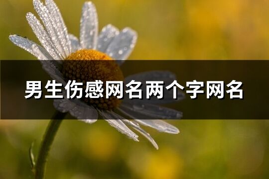 男生傷感網(wǎng)名兩個字網(wǎng)名(精選692個)