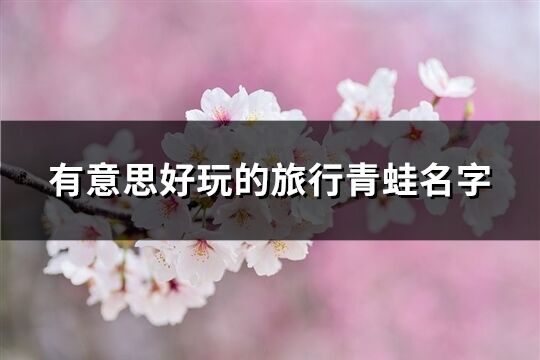 有意思好玩的旅行青蛙名字(368個)