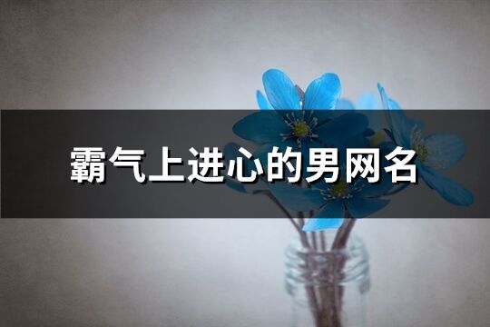 霸氣上進(jìn)心的男網(wǎng)名(175個(gè))