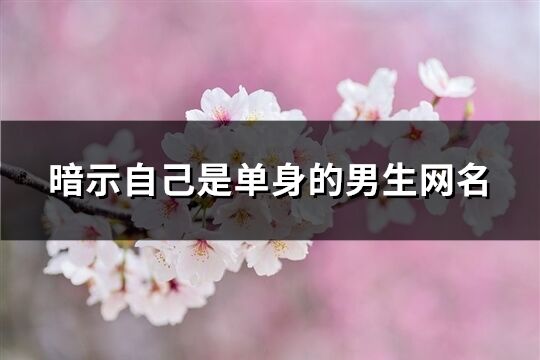 暗示自己是單身的男生網(wǎng)名(共258個)
