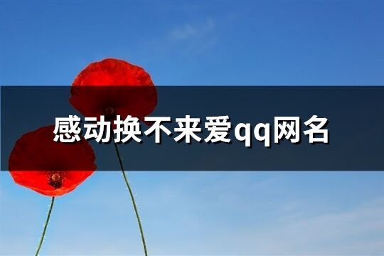 感動換不來愛qq網(wǎng)名(優(yōu)選76個)
