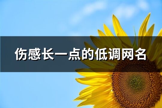 傷感長一點(diǎn)的低調(diào)網(wǎng)名(共375個(gè))