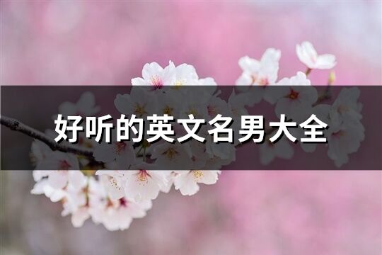 好聽的英文名男大全(83個)