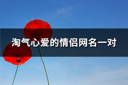 淘氣心愛的情侶網名一對(121個)