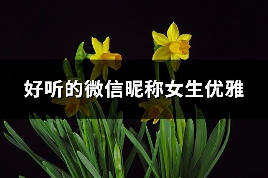 好聽的微信昵稱女生優雅(共735個)