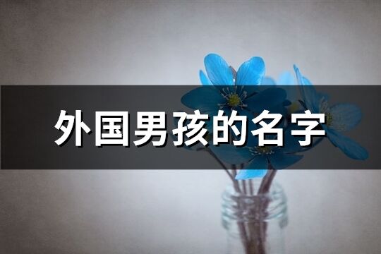 外國男孩的名字(共100個)