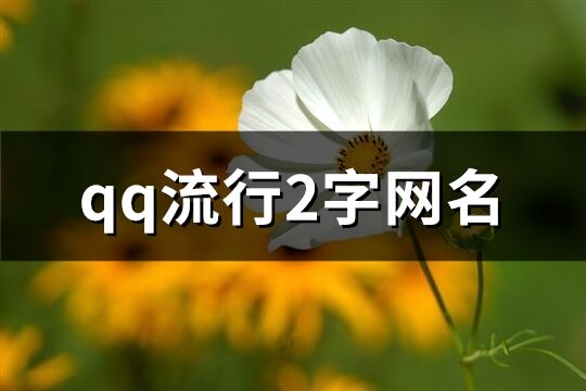 qq流行2字網名(1356個)