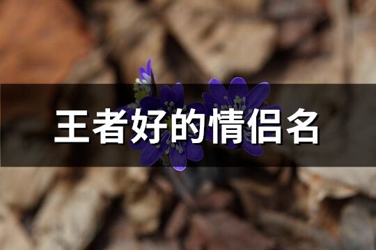 王者好的情侶名(共575個(gè))