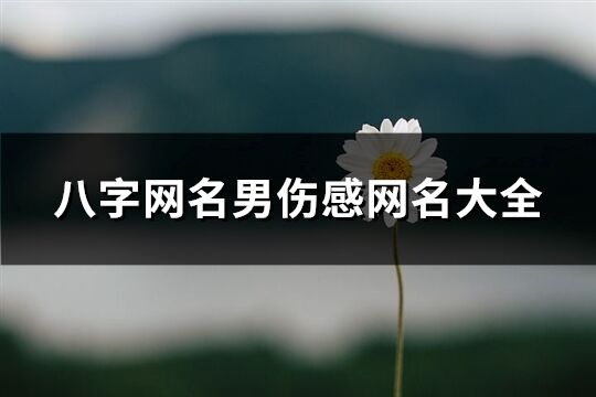 八字網名男傷感網名大全(508個)