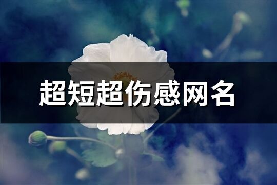 超短超傷感網名(優選143個)
