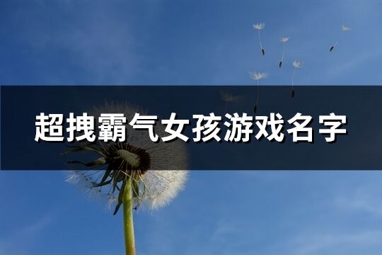 超拽霸氣女孩游戲名字(共269個)