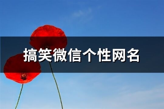 搞笑微信個性網名(優(yōu)選243個)