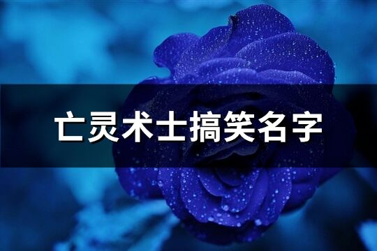 亡靈術士搞笑名字(101個)